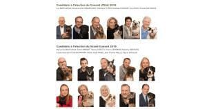 Des élections qui ont du chien 2018
