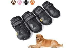 Bottes pour chiens
