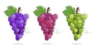 Raisin, raisin sec et vin