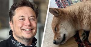 Floki, Elon Musk et les cryptomonnaies