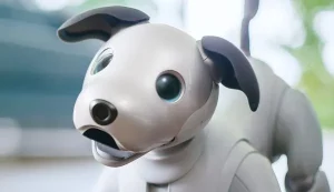 Le chien-robot de compagnie Aibo