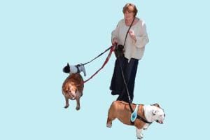 Hommage à Papy Rex: Arlette Jonzier