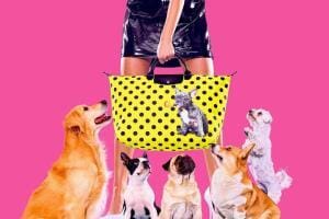 Longchamp, les sacs qui ont du chien