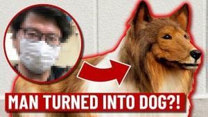 Un homme dépense 15’000 dollars pour devenir un chien et a peur que ses amis le trouvent «bizarre»