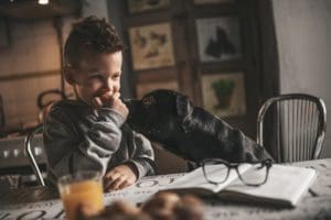 Les animaux de couleur noire sont moins susceptibles d’être adoptés
