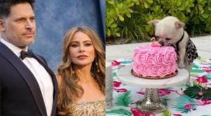 Qui aura la garde du chien dans le divorce de Sofia Vergara?