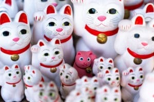 Horoscope chinois : le rat brule la politesse au chat