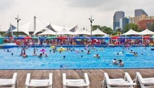 La première piscine publique pour chiens ouvre à Séoul