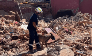 Maroc : L’aide des chiens de secours