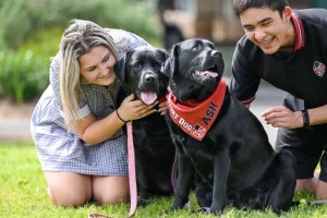 Améliorer la santé mentale des étudiants grâce aux chiens