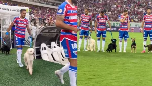 Des footballeurs de Fortaleza sensibilisent à l&rsquo;adoption d&rsquo;animaux