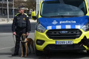 Un syndicat dénonce les conditions de vie des chiens de l’Unité canine