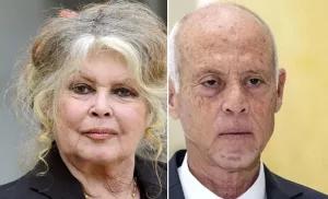 Brigitte Bardot en colère sur le sort des animaux errants en Tunisie