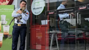 Des amis félins pour les gardes de sécurité aux Philippines