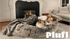 Dormir comme un chien