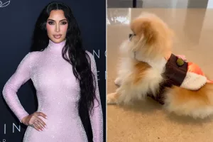 Kim Kardashian habille ses chiens en Sushi et en Saké