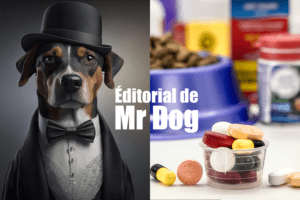 L’édito de Mister Dog : Le coût caché de l&rsquo;amour canin