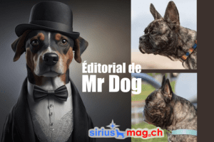 L&rsquo;élevage sélectif à des fins esthétiques : Les chiens et chats victimes de leur popularité