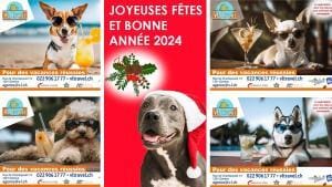 Sécurité et chiens : VLTravel.ch dispense ses conseils