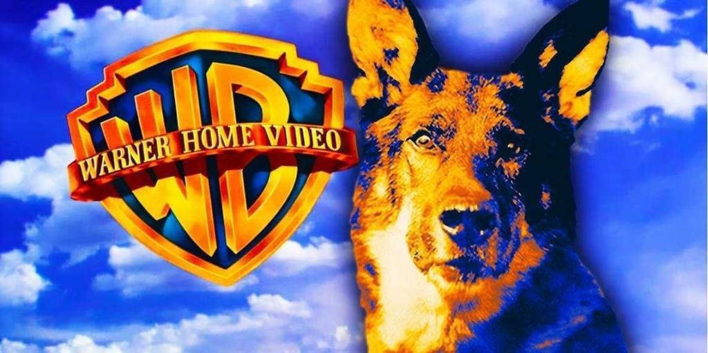 RinTinTin a sauvé Warner Bros de la faillite il y a 100 ans