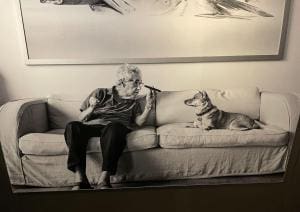 Les Nocturnes canines : Elliott Erwitt à la Sucrière