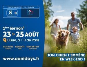 Canidays : les JO pour chiens en août 2024