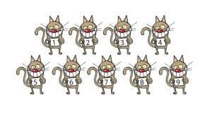 Décryptage des neuf vies du chat