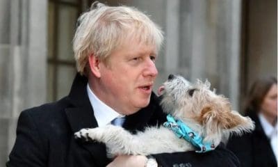 Boris Johnson et son chien Dilyn