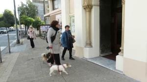Sanremo : Animaux de compagnie admis dans les murs de l’église