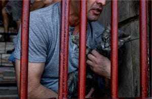 Chili : Les félins en prison