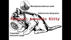 Quand la CIA tenta d&rsquo;utiliser des chats en espionnage