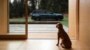 BMW X7 sur mesure pour les chiens