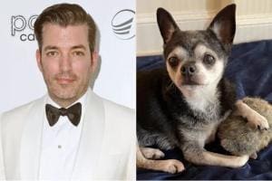 Jonathan Scott pleure son chien bien-aimé, Gracie