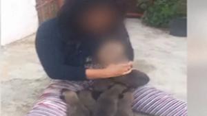 Maroc : Une vidéo d’une femme allaitant des chiots fait scandale
