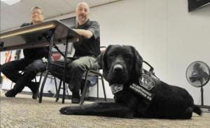 Les chiens renifleurs d’électroniques de la Police de New York