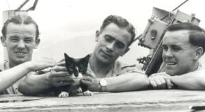Sam, le chat insubmersible de la Seconde Guerre Mondiale