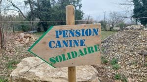 Réinsertion professionnelle canine et solidarité