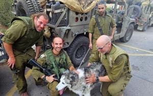 Les animaux secourus par l’armée de Tsahal à Gaza suscitent des accusations