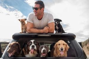 Asher House : Sauvetage, récupération et aventure avec les animaux