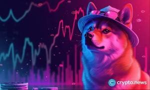 Photo emblématique de chien de Dogwifhat : enchères NFT