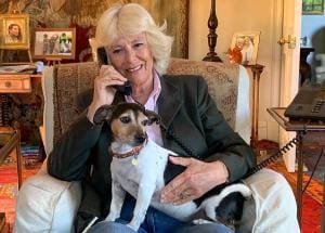 Camilla, reine du Royaume-Uni et de la cause des chiens