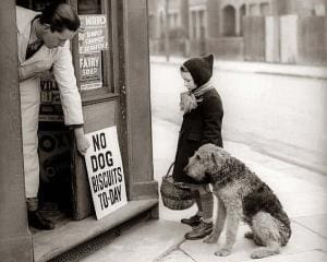 Massacre d’animaux de compagnie britanniques lors de la GM2