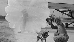 Parachutisme : Les héros canins de la Seconde Guerre Mondiale