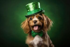 Irlande : Le Conseil municipal de Limerick fait peu de contrôles pour les délits canins