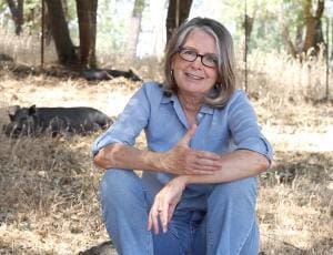 Le bien-être animal : Kim Sturla et la prise de conscience publique