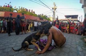 Un chien réconforte l’acteur de Jésus sur la Via Crucis