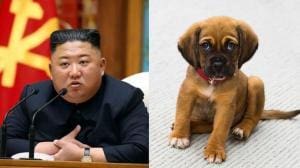 Chiens de compagnie bannis en Corée du Nord
