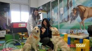 Un projet de zoothérapie à l’hôpital « Morgagni-Pierantoni » de Forlì