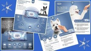 Lingettes désinfectantes pour chien : hygiène et bien-être au quotidien