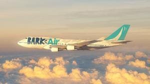 La nouvelle compagnie aérienne Bark Air : pour chiens et humains